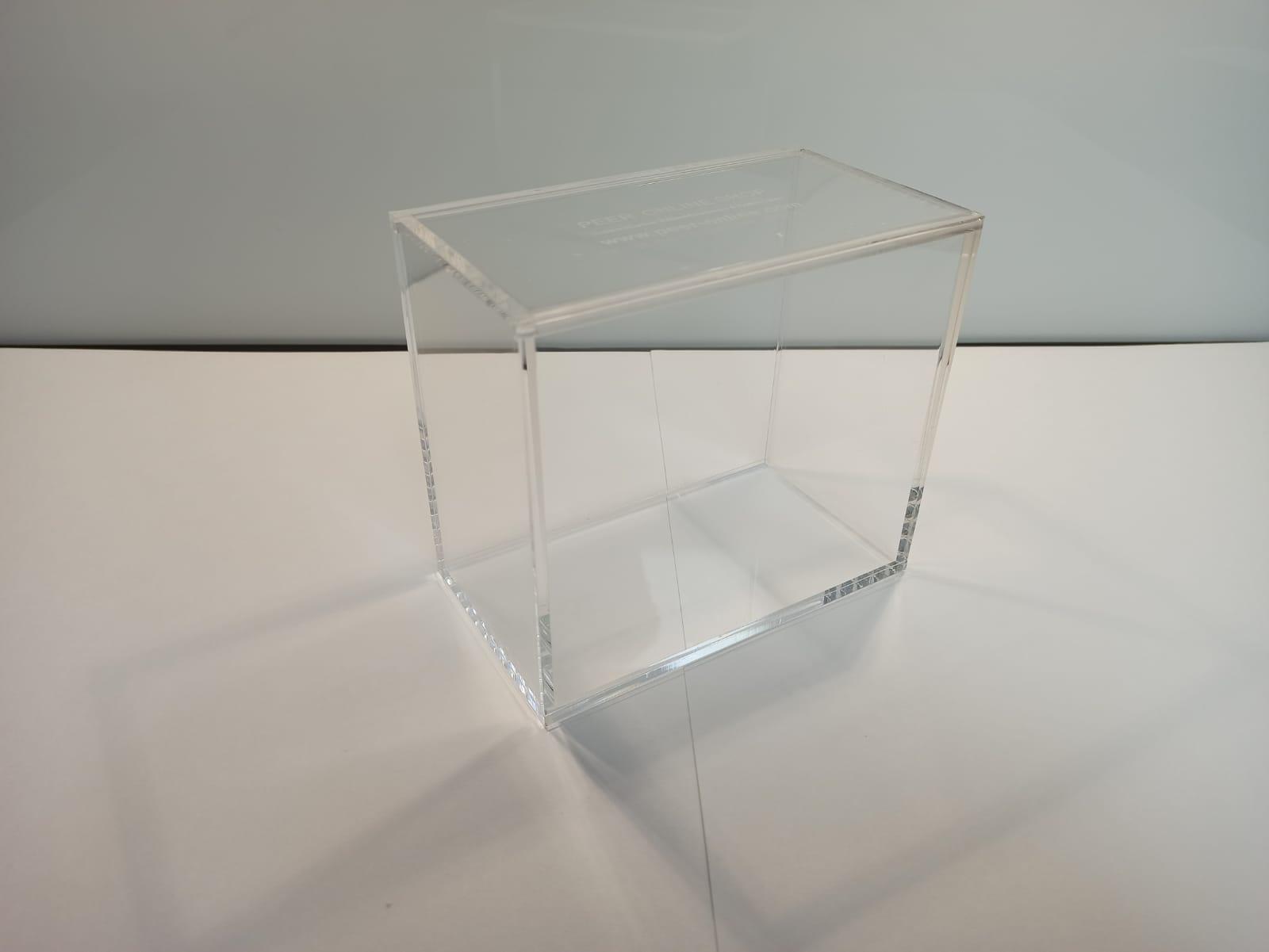 Acryl Premium Schutzbox / Case passend für Pokémon Display Drachenwandel